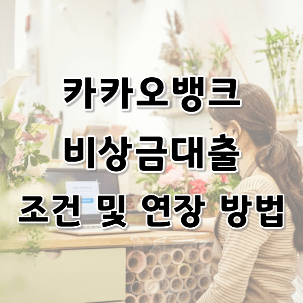 카카오뱅크 비상금대출 알아보기