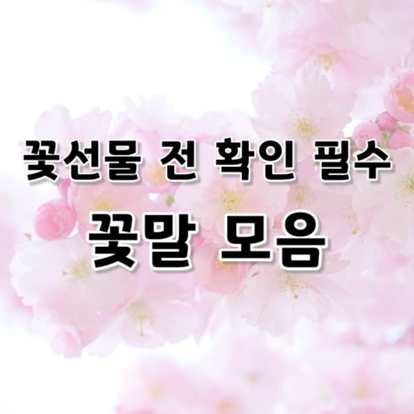 꽃 선물 전 반드시 확인해야 하는 꽃말 모음