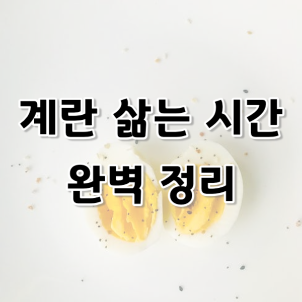 계란 삶는 시간 완벽 정리