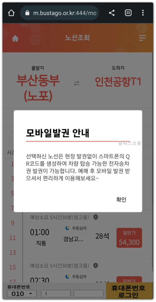 모바일발권 안내 팝업