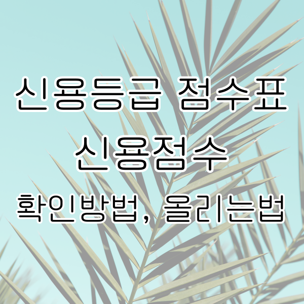 신용등급 점수표 신용점수 확인방법 올리는법