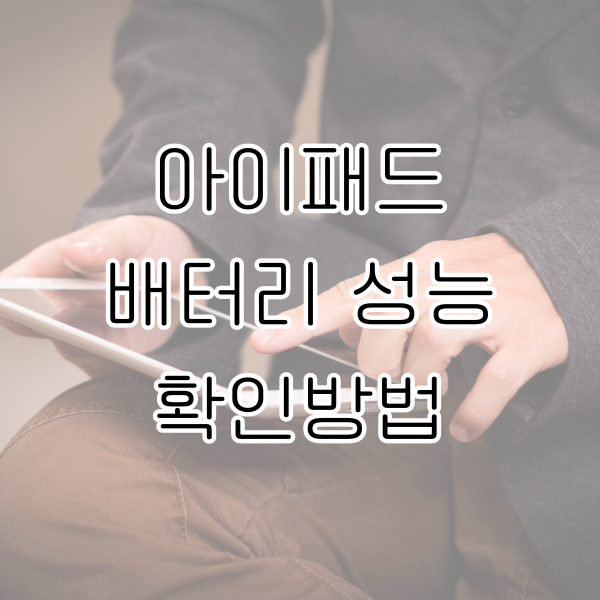 아이패드 배터리 성능 확인 방법