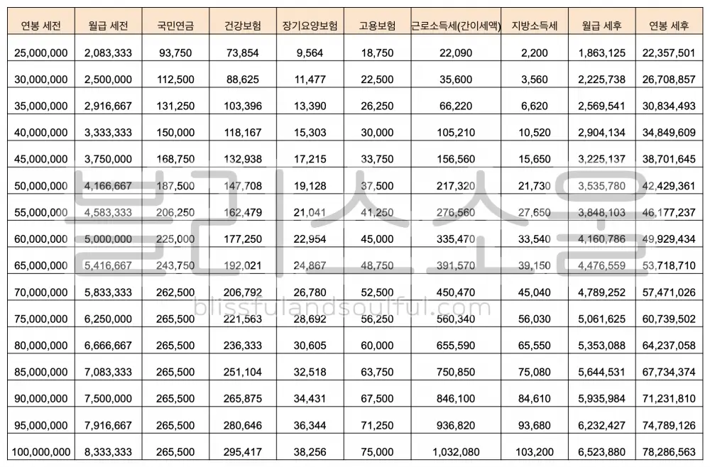 2024 연봉 실수령액