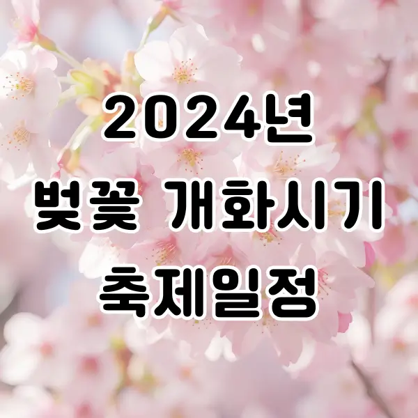 2024년 벚꽃 개화시기 및 축제일정 알아보기