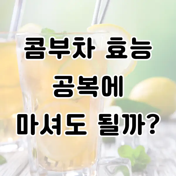 콤부차 효능 공복에 마셔도 될까