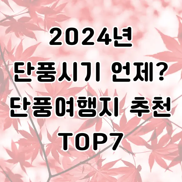 2024 단풍시기 예상 시기