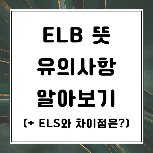 ELB 뜻 투자 시 주의사항 알아보기(+ELS와 차이점?)