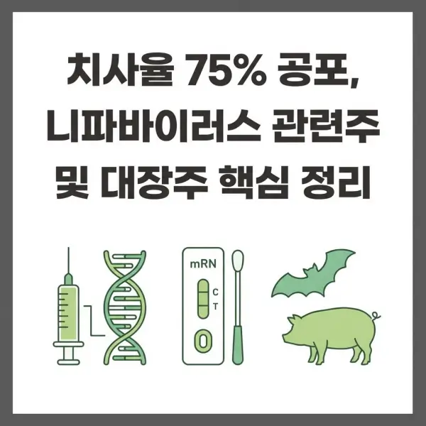 치사율 75% 공포, 니파바이러스 관련주 및 대장주 핵심 정리