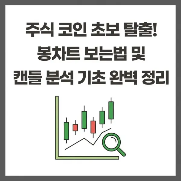 주식 코인 초보 탈출! 봉차트 보는법 및 캔들 분석 기초 완벽 정리